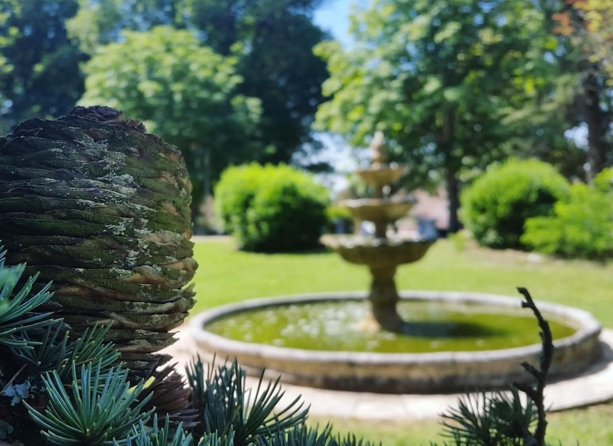 Chateau Marith - Etablissement Climatise Avec Piscine Otel Clairac  Dış mekan fotoğraf