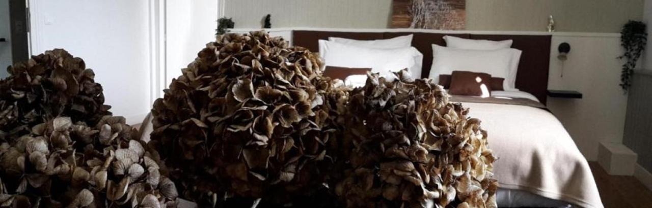 Chateau Marith - Etablissement Climatise Avec Piscine Otel Clairac  Dış mekan fotoğraf